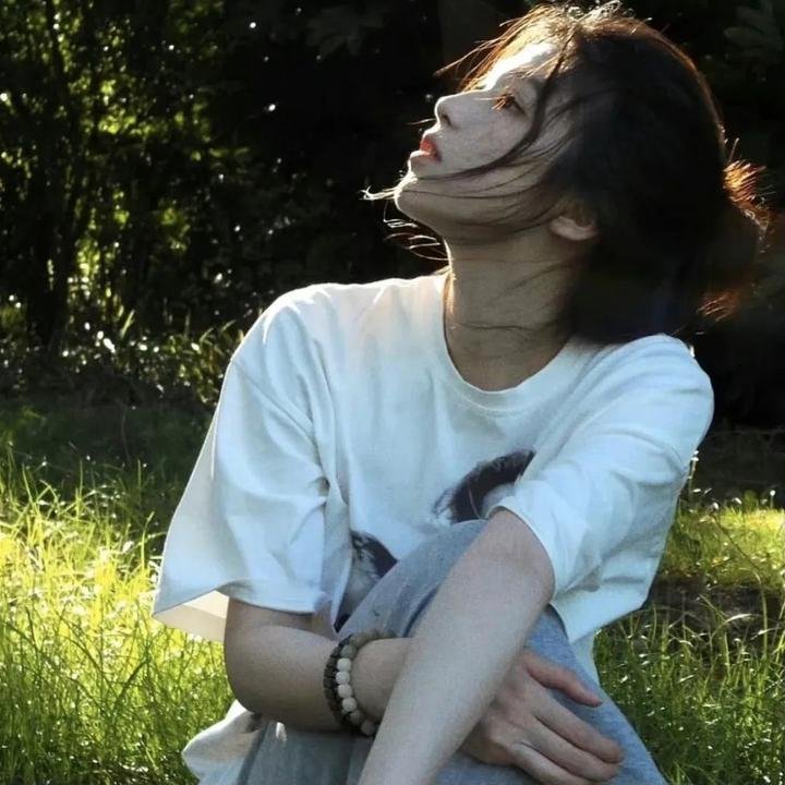 陆行鲨
