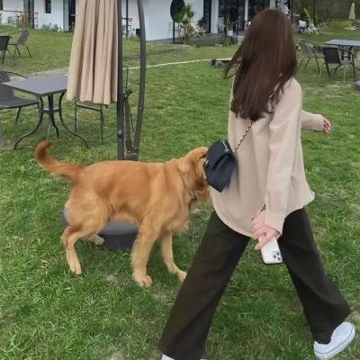 妙手仁心2